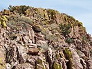 2024-03-11 :3: Pratt Benchmark - Peloncillo Mountains :: DixieFlyer