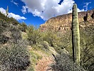 2024-03-16 :1: Second Water - Black Mesa cut Loop :: ScottHika