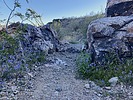 photo thumbnail #2
