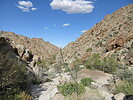 photo thumbnail #4