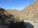 photo thumbnail #8