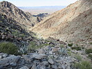 photo thumbnail #4