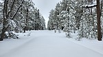 photo thumbnail #6