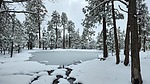 photo thumbnail #5