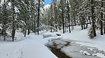 photo thumbnail #9