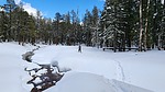 photo thumbnail #15