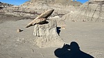 photo thumbnail #4