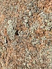 photo thumbnail #15