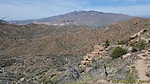 photo thumbnail #15