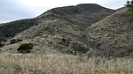 2024-03-12 :1: Pinyon Mtn 5268 via Two Bar Ridge Tr 119 North :: CannondaleKid