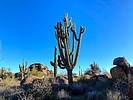 photo thumbnail #2