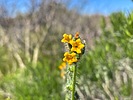 photo thumbnail #13