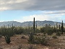 photo thumbnail #3