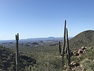 photo thumbnail #3