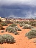 photo thumbnail #11