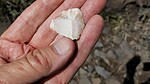 photo thumbnail #8