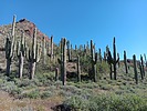 photo thumbnail #10