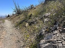 photo thumbnail #3