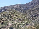 photo thumbnail #2
