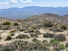 2024-03-26 :3: Peak 5135 - Harcuvar Mountains Wilderness HP :: DixieFlyer