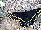 photo thumbnail #13