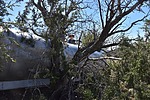 photo thumbnail #7