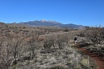 photo thumbnail #3