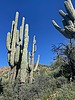 photo thumbnail #10