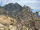 photo thumbnail #7