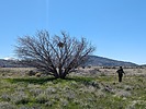 photo thumbnail #2