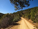 photo thumbnail #6