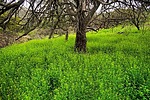 photo thumbnail #14