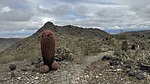 photo thumbnail #11