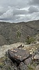 photo thumbnail #15