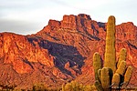 photo thumbnail #1