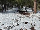 photo thumbnail #1