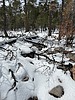 photo thumbnail #14