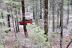 photo thumbnail #14