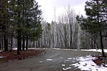 photo thumbnail #15