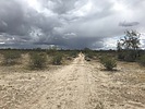 photo thumbnail #3