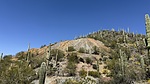 photo thumbnail #12