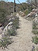 photo thumbnail #9