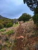 photo thumbnail #13