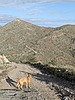 photo thumbnail #1