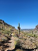photo thumbnail #5
