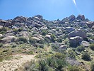 photo thumbnail #15