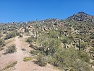 photo thumbnail #10