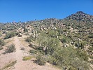 photo thumbnail #9