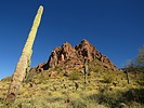 photo thumbnail #14
