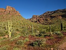 photo thumbnail #11